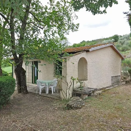Martino