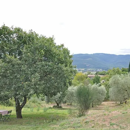 Martino